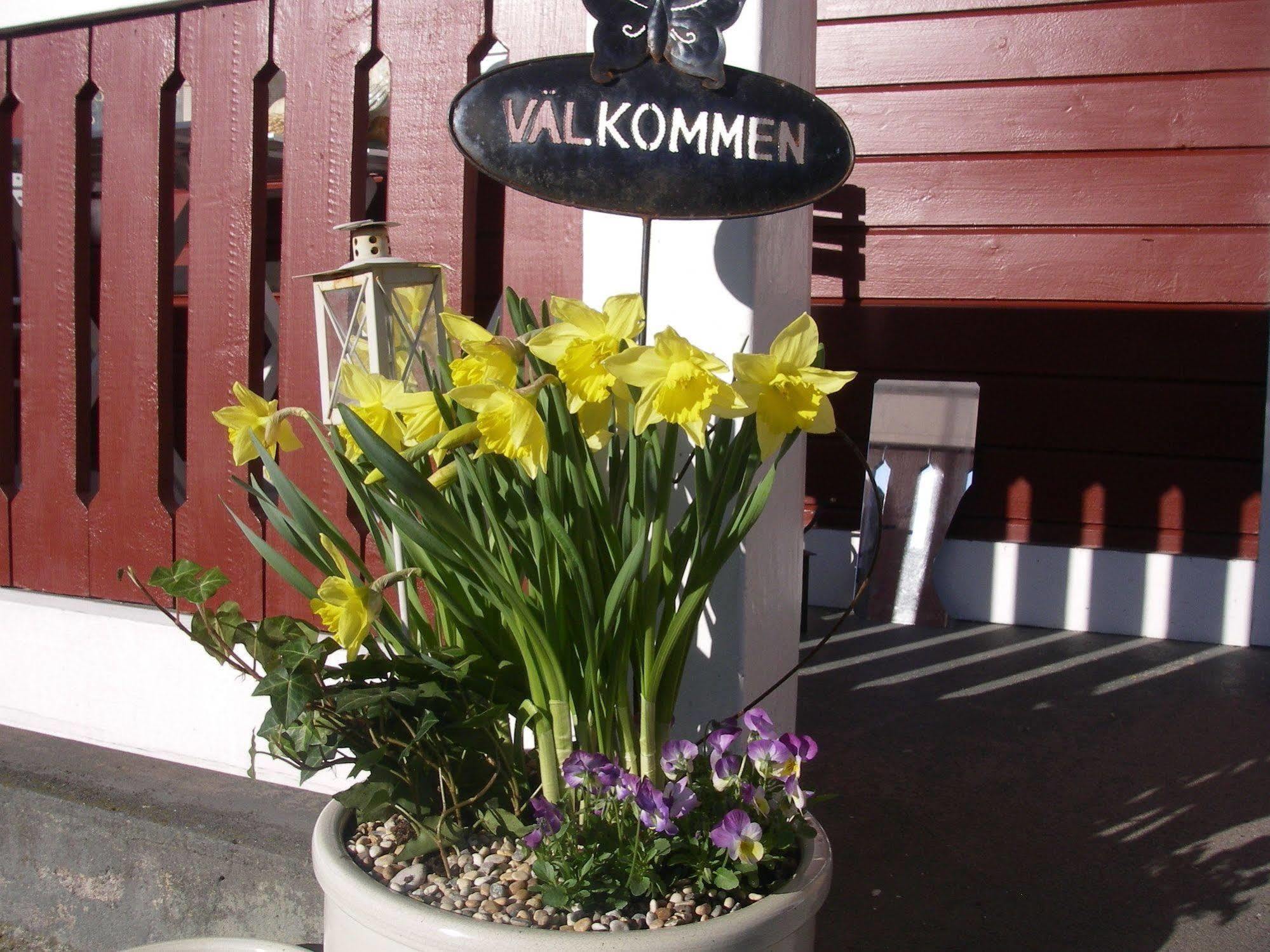 Perssons I Backens Pensionat- Sjoetorps Vandrarhem & Rum Exterior foto